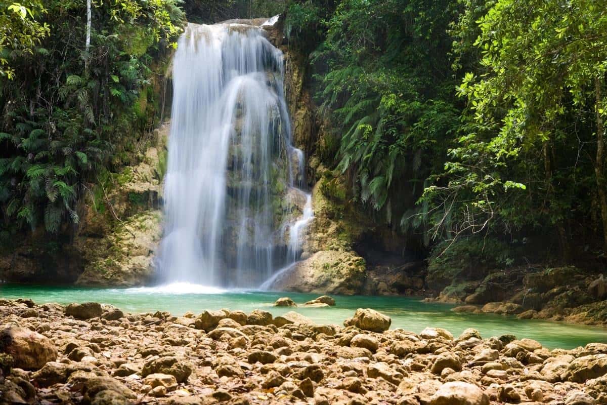 Samaná Travel Guide: Beaches, Whales & Tropical Bliss