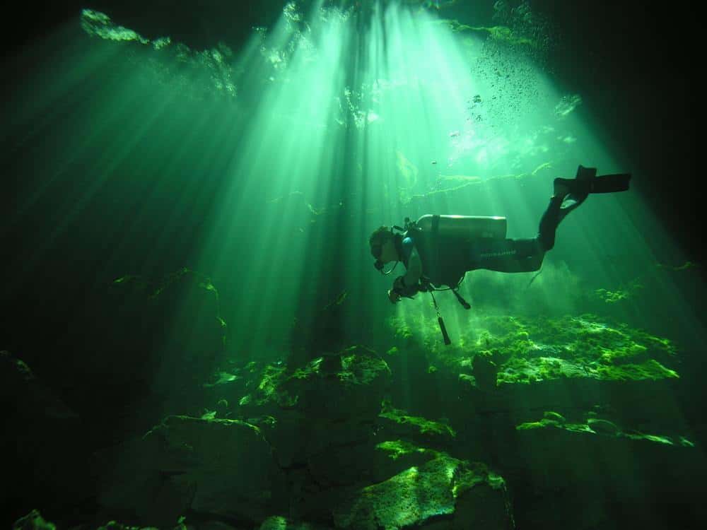 Grand Bahama Island: Tropical Adventures & Sun-Kissed Shores