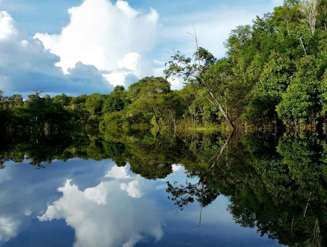 Unforgettable Brazil Tours & Tropical Adventures