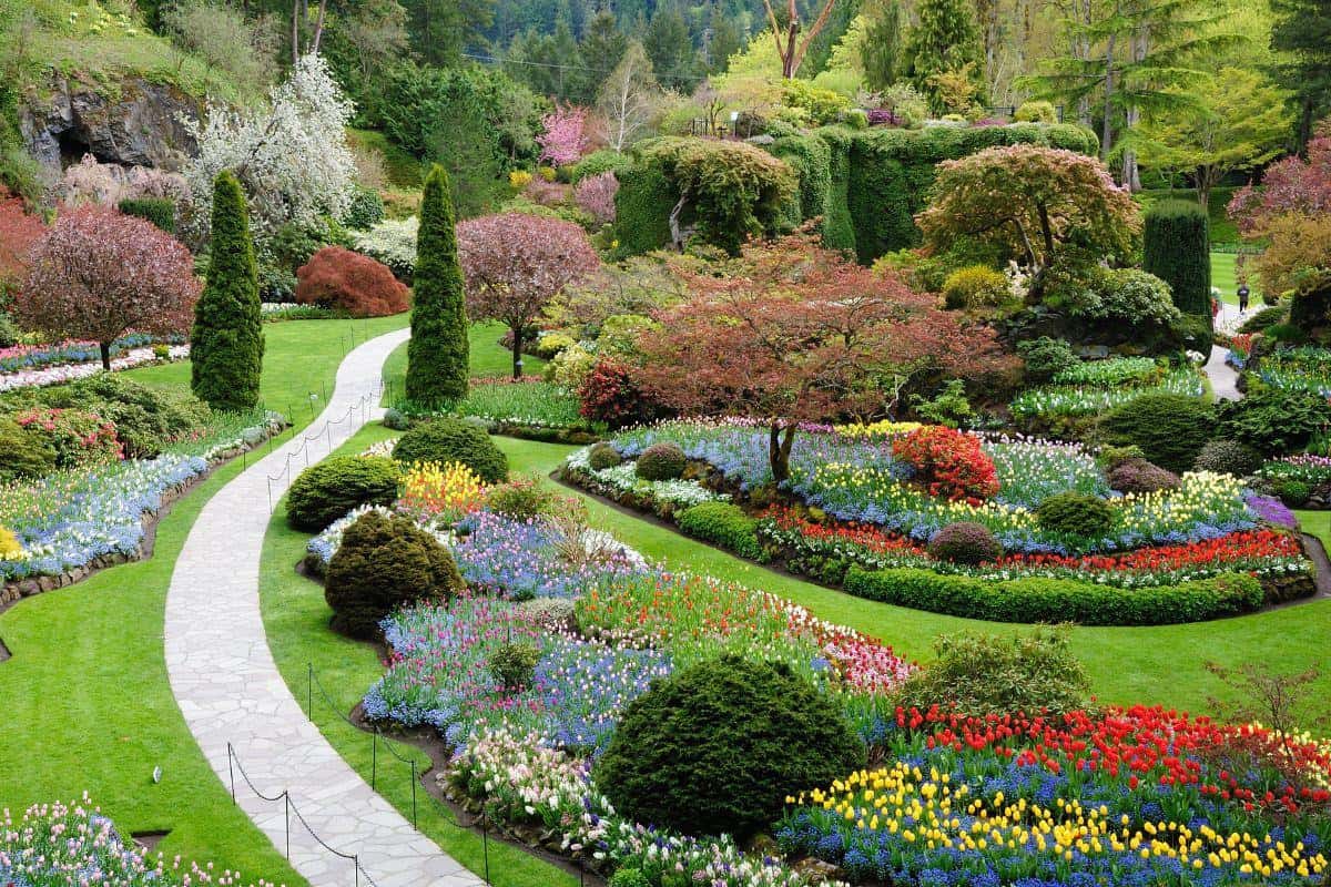 Explore Victoria: The Jewel of Vancouver Island