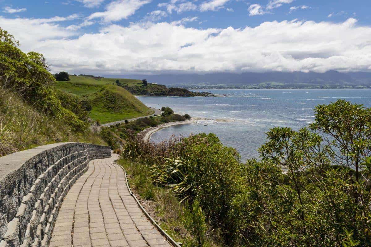 Kaikoura Adventures: Whale Watching & Coastal Wonders