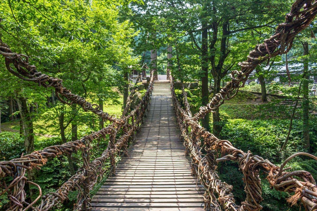 Explore Tokushima: Nature, Culture & Spiritual Adventures