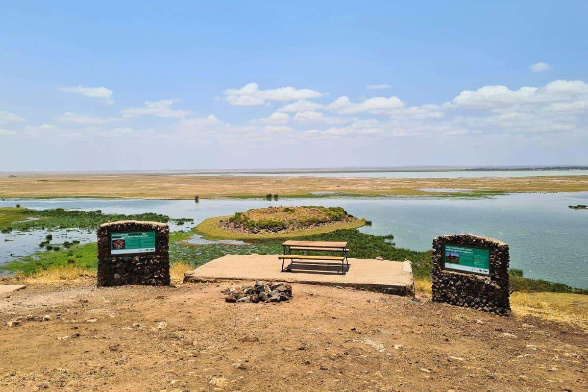 Amboseli National Park Safari & Wildlife Tours