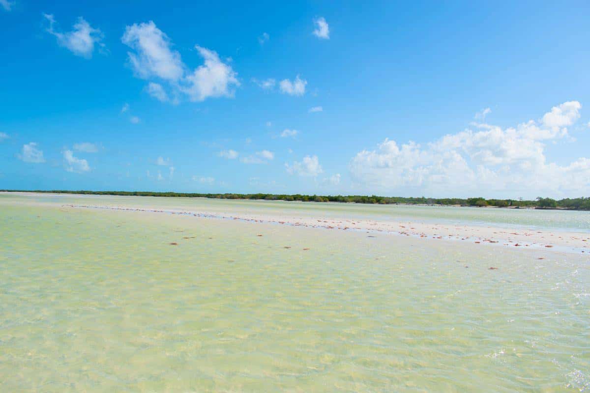 Isla Holbox: The Ultimate Caribbean Island Escape