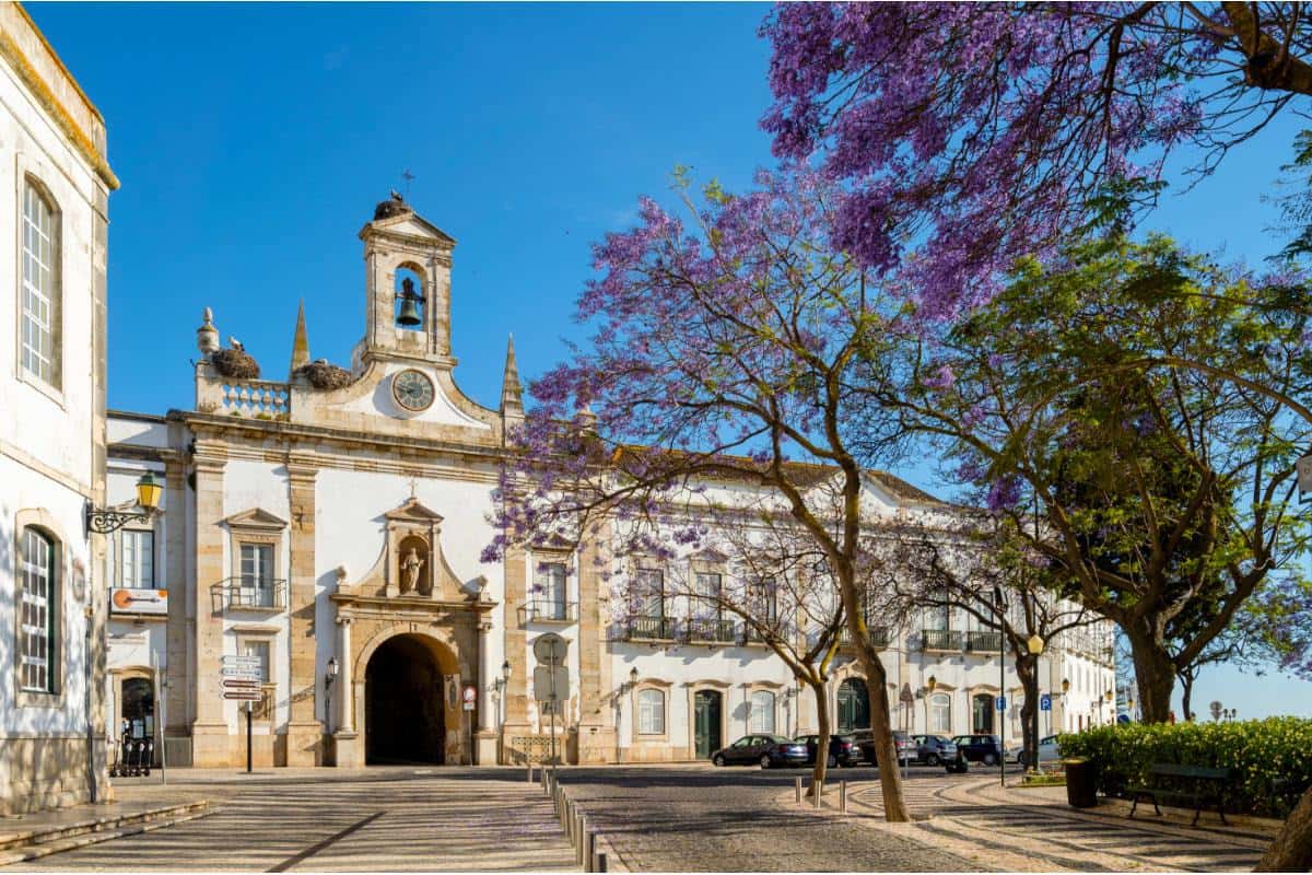 Experience the Best of Faro & the Algarve