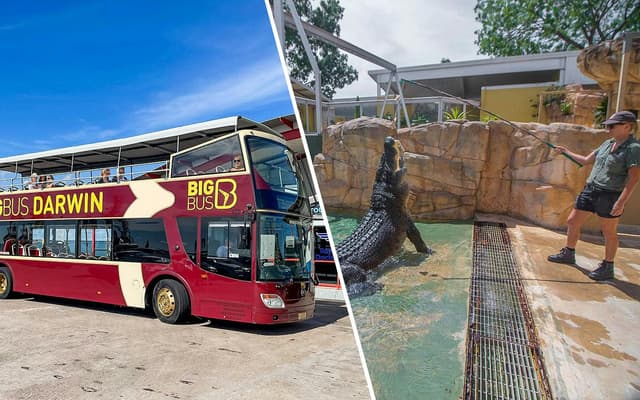 Combo: Darwin Hop-on Hop-off Bus Tour + Crocosaurus Cove Tickets + RFDS Facility Tickets