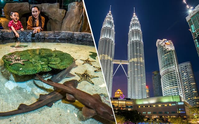 Combo: Aquaria KLCC + Petronas Twin Towers Tickets