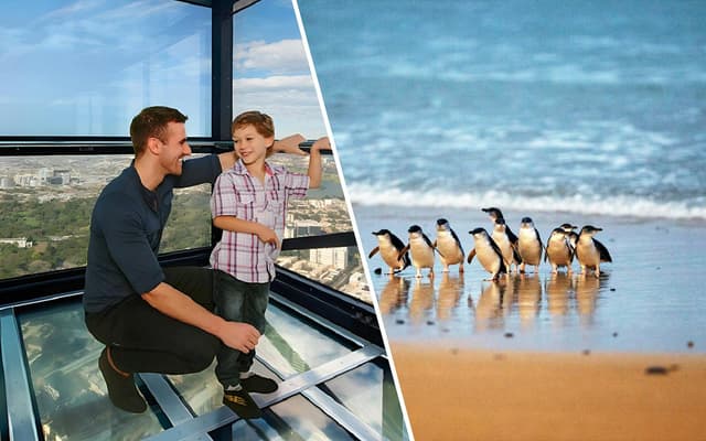 Combo: Melbourne Skydeck at Eureka Tower + Phillip Island Penguin Parade Tickets