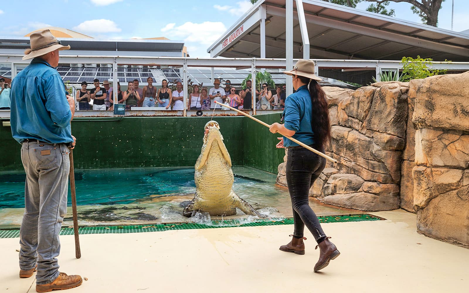 Unforgettable Crocodile Encounters at Crocosaurus Cove