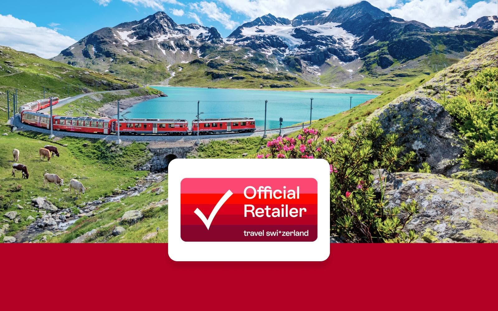 Compare Best Swiss Travel Pass Tours