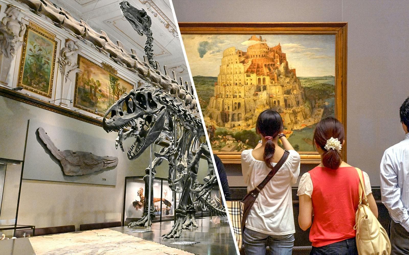 Best Kunsthistorisches Museum Tours in Vienna