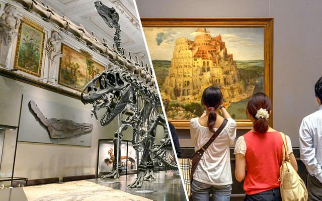 Combo: Natural History Museum + Kunsthistorisches Museum Admission Tickets