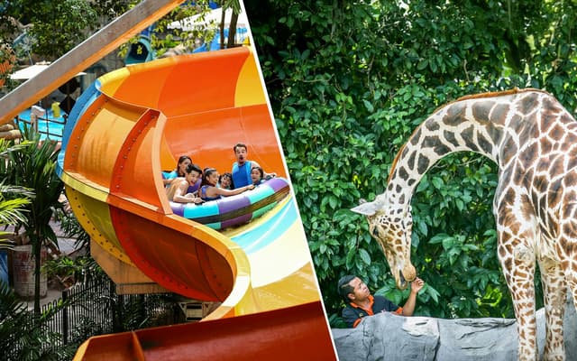 Combo : Sunway Lagoon Theme Park Tickets + Zoo Negara Tickets