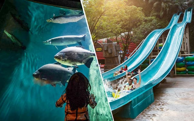 Combo: Aquaria KLCC + Sunway Lagoon Tickets