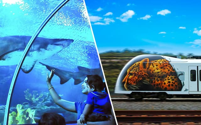 Combo: Skip-the-Line Tickets to Aquaria KLCC + KLIA Ekspres Train Tickets