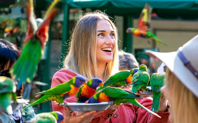 Currumbin Wildlife Sanctuary Tickets