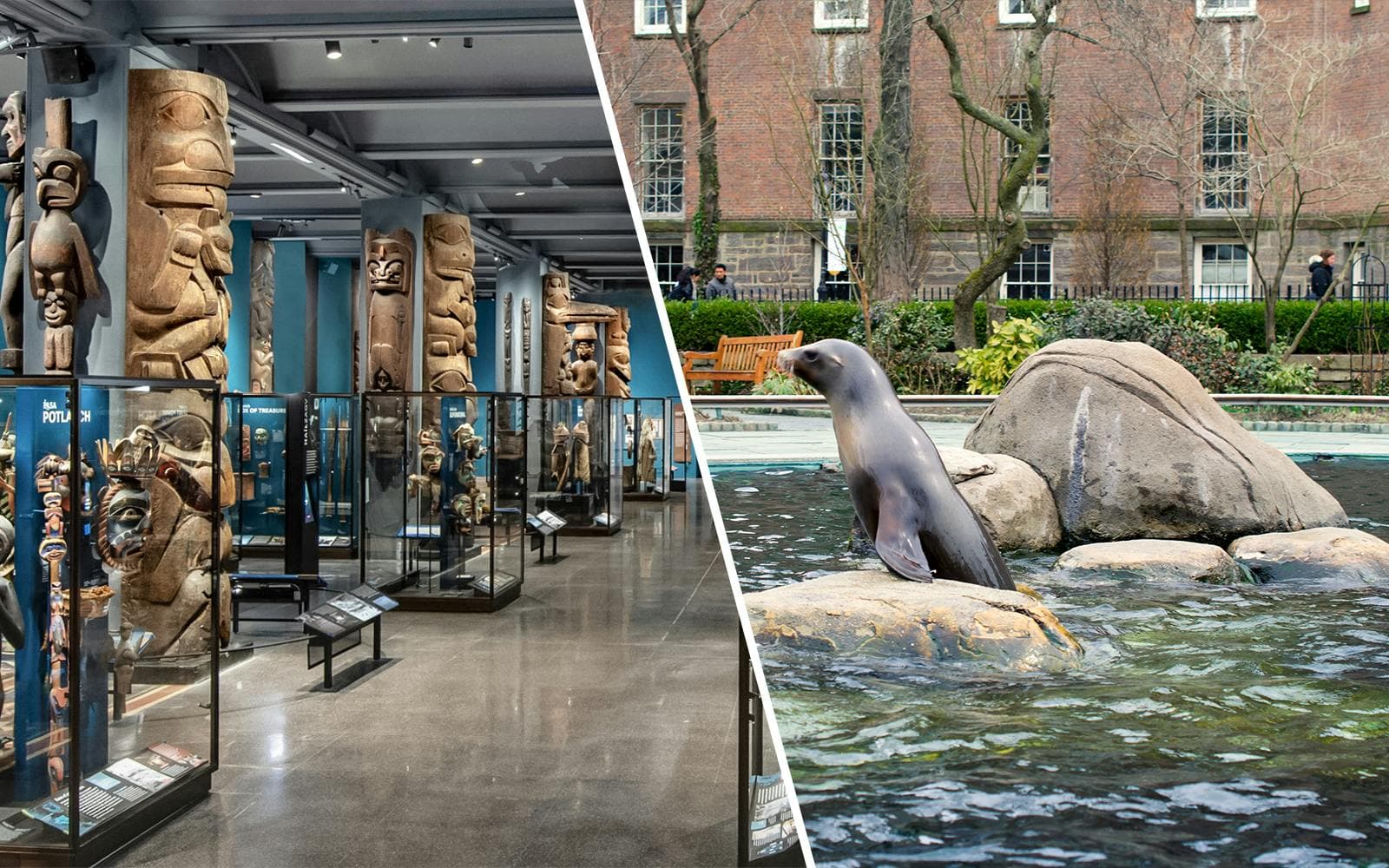 Central Park Zoo NYC Tours & Tickets