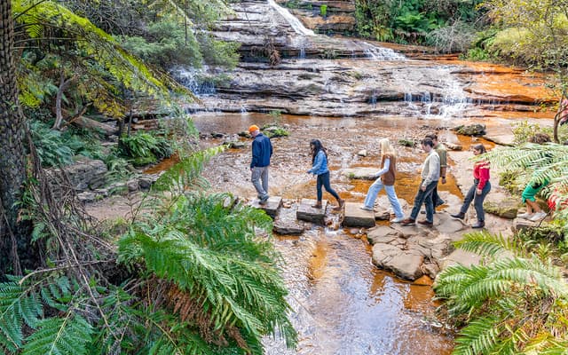 Blue Mountains Tour: Lunch, Scenic World, Sydney Zoo or Featherdale Wildlife Park, & Harbour Ferry Return