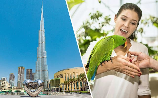 Combo: Burj Khalifa At the Top + Green Planet Tickets