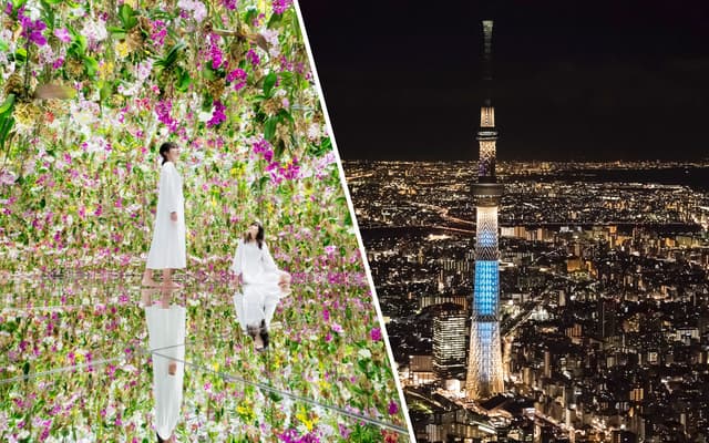 Combo: teamLab Planets Tokyo + Tokyo Observation Decks Tickets
