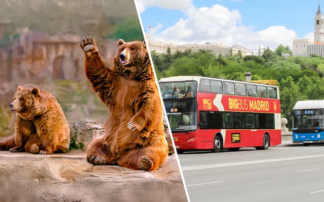 Combo: Madrid Zoo Aquarium Tickets + Madrid Panoramic View Bus Tour