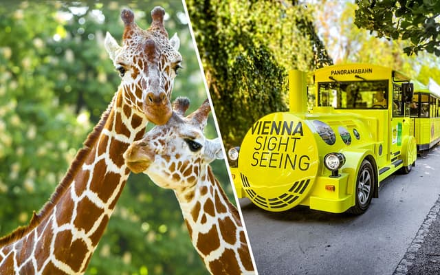 Combo: Schönbrunn Zoo + Schönbrunn Palace Panorama Train Ride Tickets