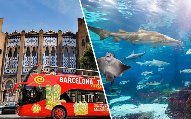 Combo: Barcelona Hop-On Hop-Off Bus Tour + Barcelona Aquarium Skip-the-Line Tickets