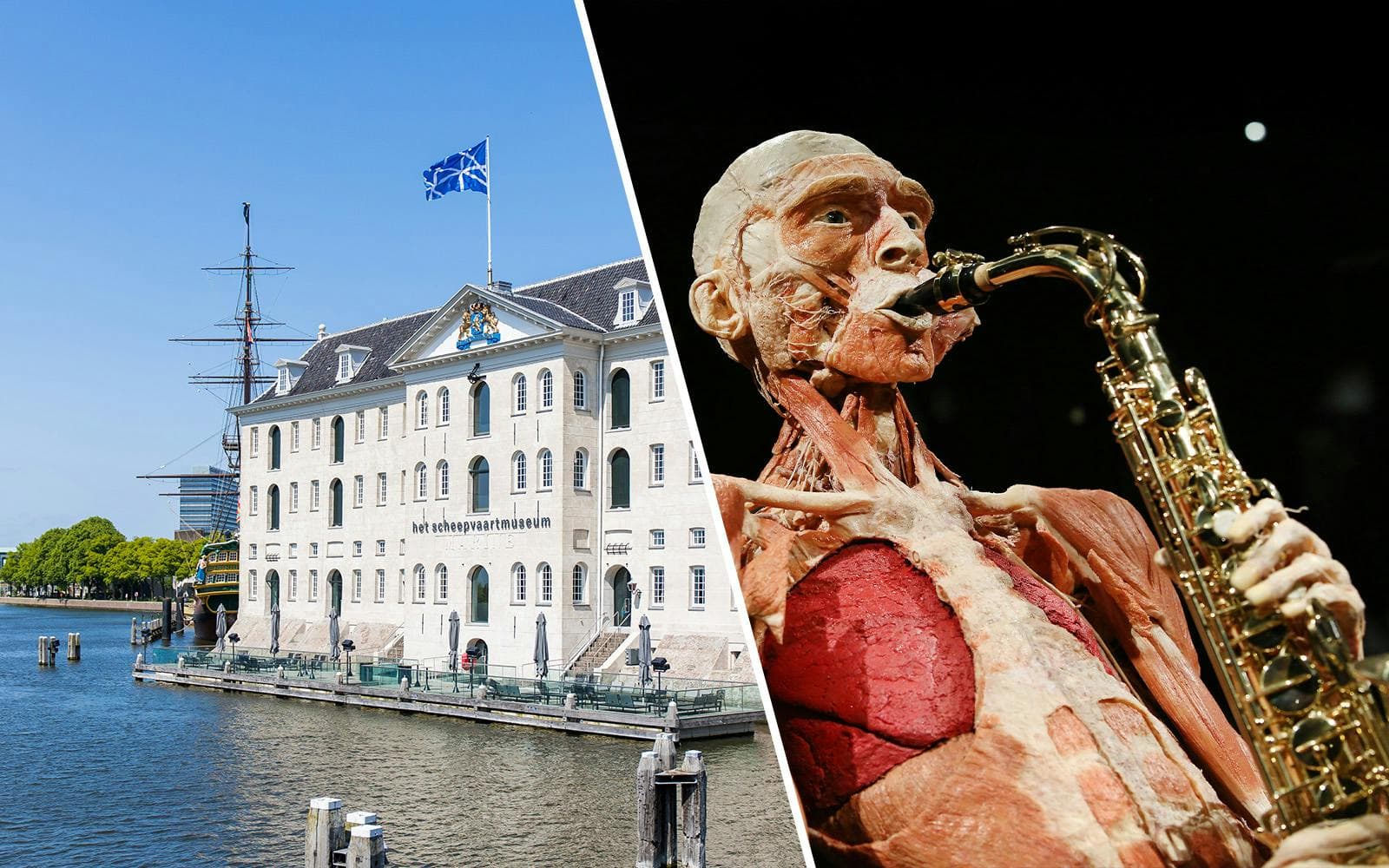 Body Worlds Amsterdam: Science & Art Tour