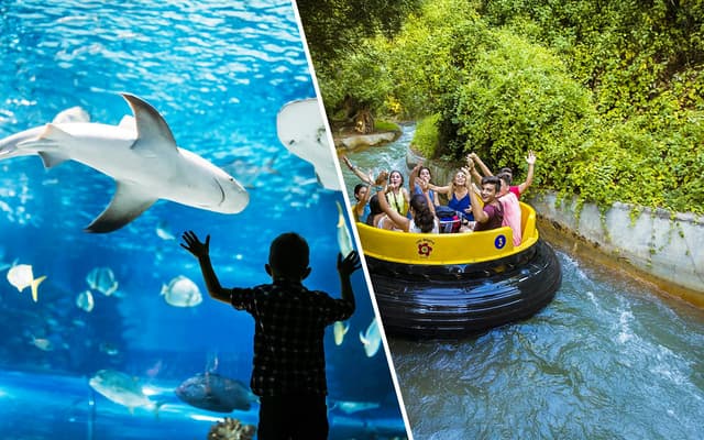 Combo: Seville Aquarium + Isla Mágica Tickets