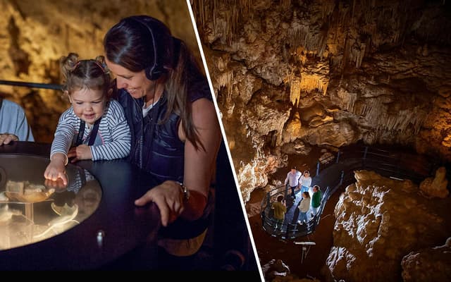 Combo: Mammoth Cave Audio Tour + Ngilgi Cave Ancient Lands Experience Tickets