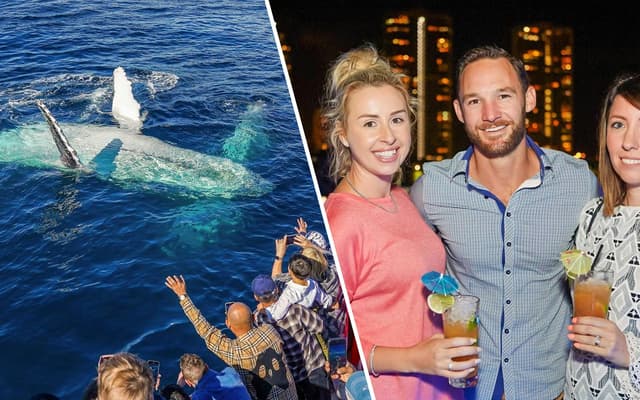 Combo: Premium Whale Watching Cruise + Premium Dinner & Sightseeing Cruise