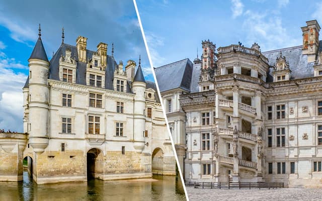 Combo: Chenonceau Castle + Royal Blois Castle Tickets