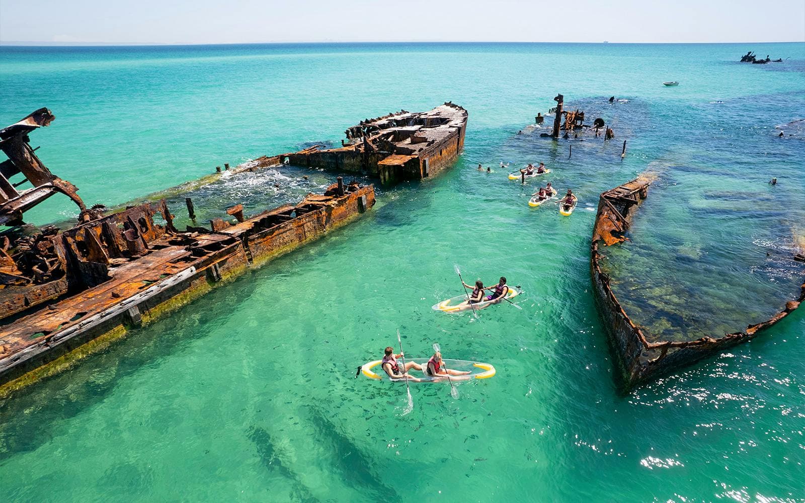 Best Tangalooma Wrecks Snorkel Tours