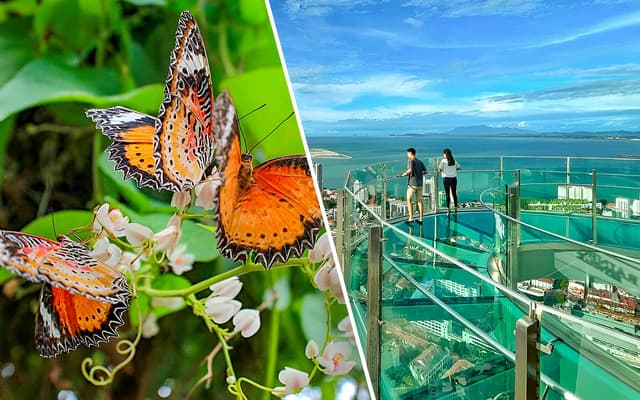 Combo: The TOP Penang + Entopia by Penang Butterfly Farm Tickets