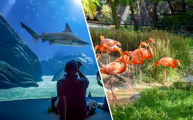 Combo: Jardim Zoológico + Oceanário de Lisboa