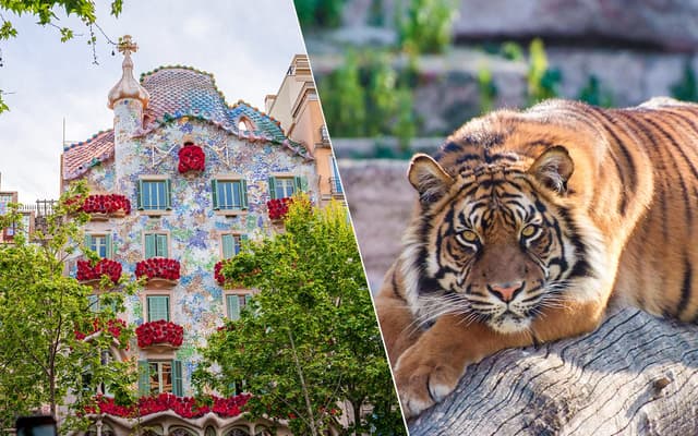Combo : Casa Batlló  + Barcelona Zoo Tickets