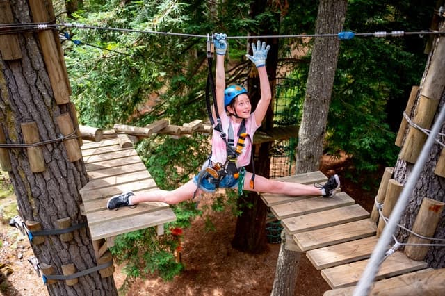 Hollybank Junior Tree Ropes Course