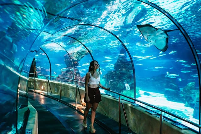 Barcelona Aquarium: Entry Ticket