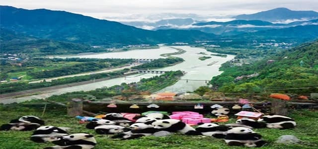 Dujiangyan panda base and irrigation system park day tour