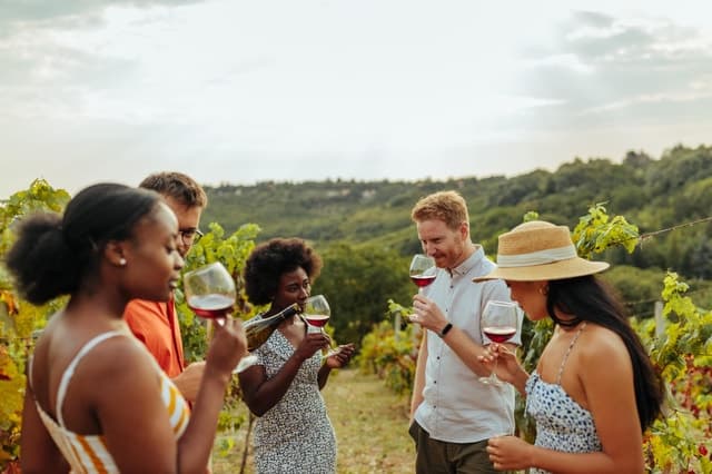 Top-Rated Craft Beer & Scenic Tours in Collingwood