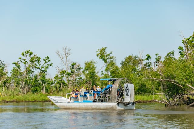 New Orleans: High Speed 9 Passenger Airboat Tour