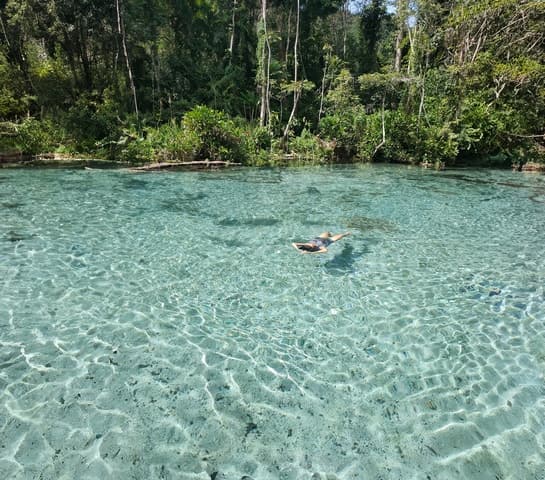 From Khao Lak/Khao Sok: Cheow Lan Lake and Emerald Pool Tour