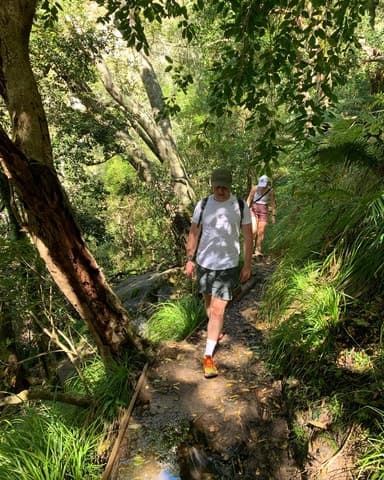 Skeleton Gorge Hike: Cape Town's Premier Mountain Adventure