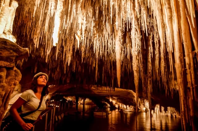 Alcudia: Caves of Drach Tour from the North with Boat Trip