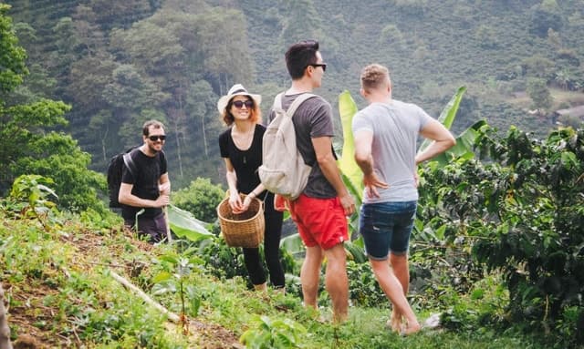 From Arusha/Moshi: Materuni Waterfalls & Coffee-Making Tour