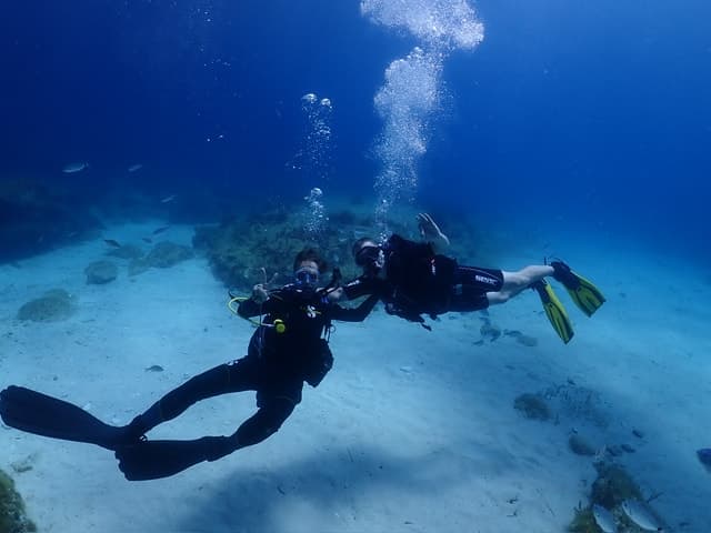 Cebu: Boat Diving Two Dive Tour in Olango Island