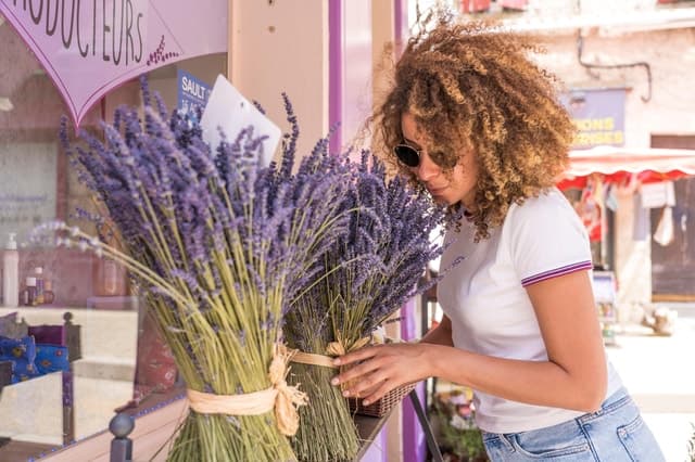 From Aix-en-Provence: Sault Lavender & Gordes Full-Day Tour