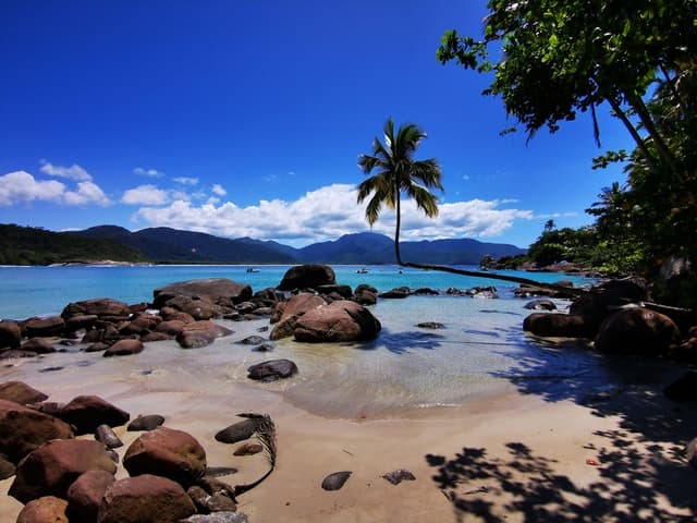 Best Ilha Grande Speedboat Tours & Island Adventures