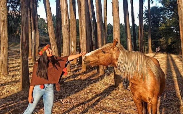 Sacsayhuaman Horseback Riding Tour