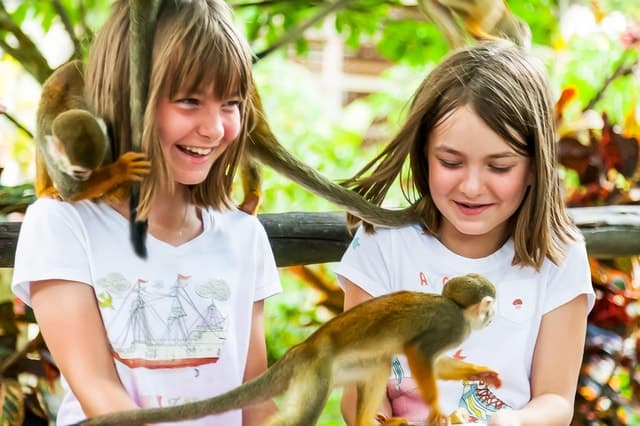 Best Monkeyland Adventure & Wildlife Tours in Punta Cana